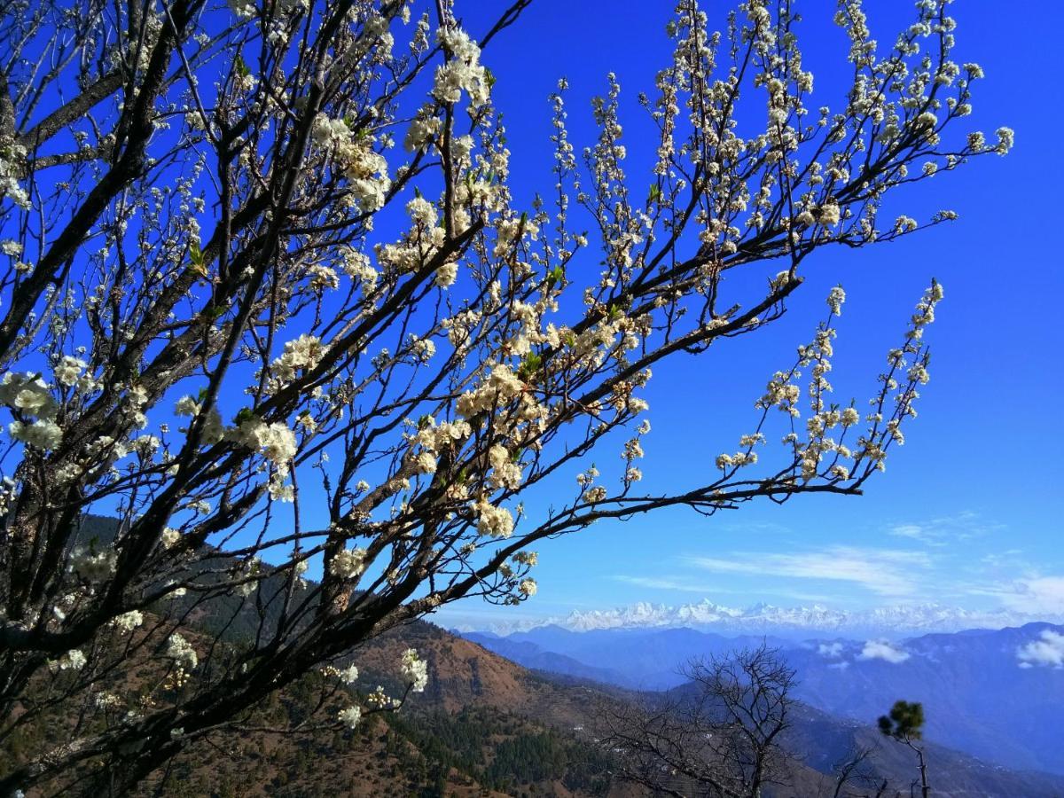 In Apple Estate Kanatal - Himalayan View Resort With Courteous Staff Extérieur photo